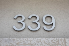 Vivid House Number | Residential House Signs | Number 339 | Brushed Aluminum Finish | Exterior Residential Wall