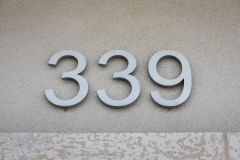 Vivid House Number | Residential House Signs | Number 339 | Brushed Aluminum Finish | Exterior Residential Wall